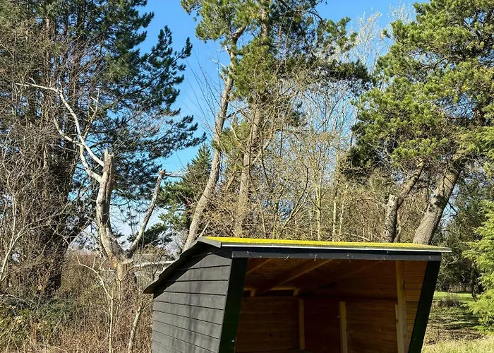 Summer House With Wilderness Bath By Karup Forest * Fårevejle